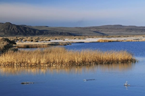 Images Dated 3rd April 2011: Sunset at Summer Lake, Summer Lake, Oregon, USA