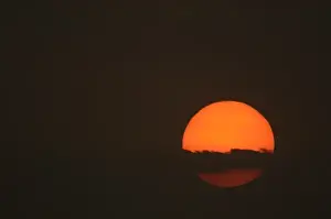 Gujarat Prints: Sunset. Velavadar National Park. Gujarat. SW INDIA