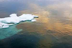 Russia Prints: Sunset view of floating ice on Bering Sea, Russia Far East