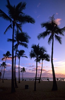 Waikiki Prints: Sunset on Waikiki beach Oahu, Hawaii, USA