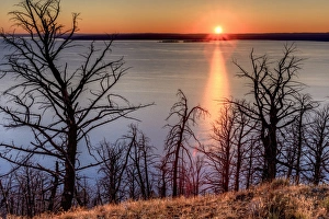 Ecosystem Prints: Sunset at Yellowstone Lake. Burned trees. Yellowstone National Park. Wyoming