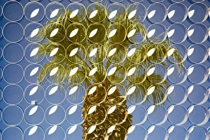 Low Angle Prints: Superimposed image over plam trees, Palm Springs, California, USA