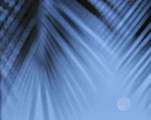 Images Dated 12th February 2017: Supermoon along Hawaiian coast. Miloli i beach, Hawaii