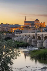 Flowing Prints: Sur District, Cordoba, Andalusia, Spain