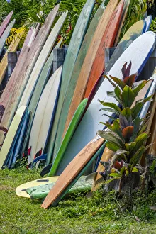 Kauai Prints: Surfboards and bodyboards, Kauai, Hawaii, USA