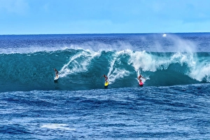 Surfing Prints: Surfer surfing large wave, Waimea Bay