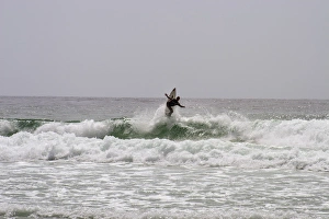 Adventure Prints: Surfing along Carmel Coastline, California