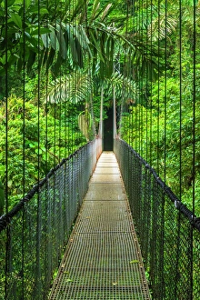 Hiking Prints: Suspension bridge at Mistico Hanging Bridges, Alajuela Province, Costa Rica