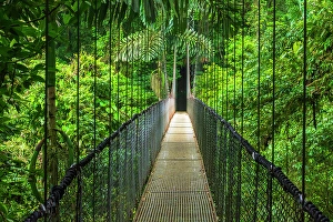 Hiking Prints: Suspension bridge at Mistico Hanging Bridges, Alajuela Province, Costa Rica. (MR)