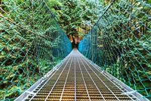 Suspension Bridge Prints: Suspension bridge on Vancouver Island, B. C