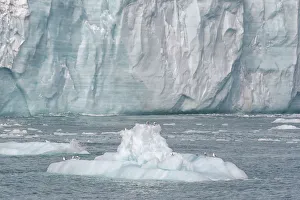 Svalbard, Nordaustlandet Island. A small iceberg that calved from the glacier provided