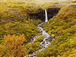 Images Dated 12th April 2012: Svartifoss (Black Fall), a 20m waterfall surrounded by hanging hexagonal basalt columns