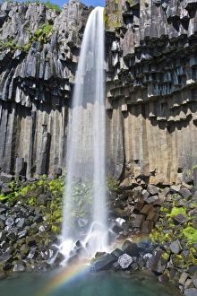 Basalt Column Prints: Svartifoss, a waterfall in southern Iceland, cascades over ancient basaltic columns