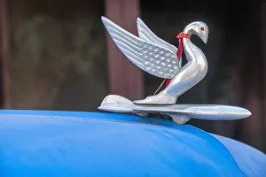 Classic Car Prints: Detail of swan hood ornament usually found on classic American Packard in Vieja