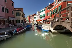 Images Dated 26th September 2011: Swans in canal, Burano Island, Lagoon Tour near Venice, Italy, Europe