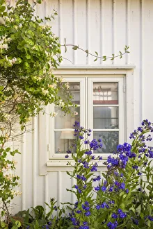 Bohuslan Prints: Sweden, Bohuslan, Smogen, house detail