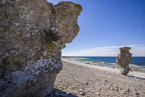 Sweden, Faro Island, Langhammars Area, Langhammar coastal limestone rauk rock