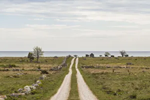 Gotland Prints: Sweden, Gotland Island, Sundre, country road, southern Gotland