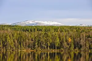 Sweden, Jamtland, Djupsjon. View of Djupsjon (Deep Lake) and surrounding Boreal forest