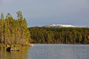 Images Dated 11th October 2008: Sweden, Jamtland, Djupsjon. View of Djupsjon (Deep Lake) and surrounding Boreal forest