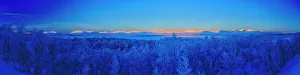 Images Dated 22nd November 2022: Sweden, Norrbotten, Abisko. Winter light over frosted birch forest and Torne Lake