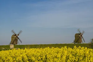Sweden, Oland Island, Lerkaka, antique wooden windmills