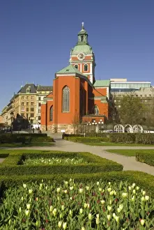 Images Dated 10th May 2010: Sweden. Stockholm. Norrmalm. Tulips in the Kungstradgarden
