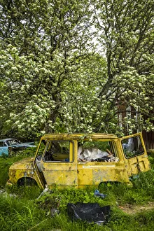 Sweden Prints: Sweden, Varmland, Bastnas, Bastnas Car Cemetery public park, antique car junkyard