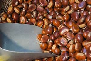 Sweet Chestnuts