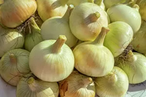 Sweet Vidalia Onion