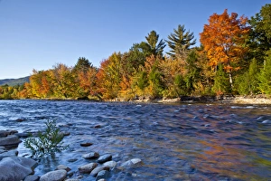 Images Dated 3rd October 2010: The Swift River in New Hampshires White Mountains. Albany, New Hampshire. Fall