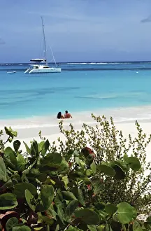 Images Dated 30th April 2012: Swimming the waters of Prickly Pear Island with Festiva Sailing Vacations (MR)