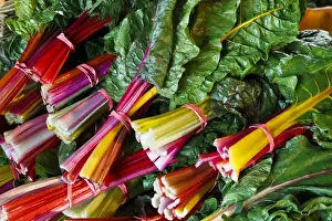 Bounty Prints: Swiss chard at the Community Supported Agriculture (CSA) pick-up at the Crimson