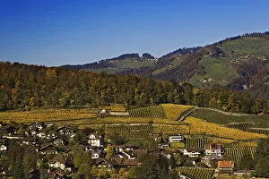Images Dated 28th October 2005: Swiss village and vineyards, Interlaken, Switzerland