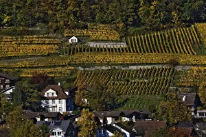 Swiss village and vineyards, Interlaken, Switzerland