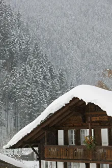 Images Dated 21st February 2005: SWITZERLAND-Bern-GRINDELWALD: Ski Chalet / Winter