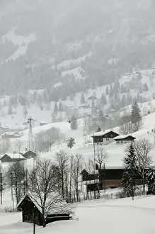 Images Dated 21st February 2005: SWITZERLAND-Bern-GRINDELWALD: Ski Chalets / Winter