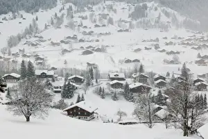 Images Dated 21st February 2005: SWITZERLAND-Bern-GRINDELWALD: Ski Chalets / Winter