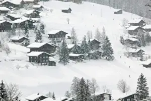 Images Dated 21st February 2005: SWITZERLAND-Bern-GRINDELWALD: Ski Chalets / Winter