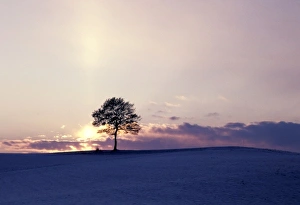 Chill Prints: Switzerland, Bernese Mitteland