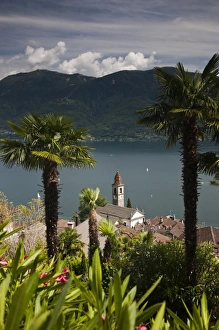 Ticino Canton Prints: Switzerland, Ticino Canton, Ronco. High angle view of town church and Lake Maggiore