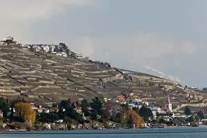 Housing Prints: SWITZERLAND-(Vaud)-Swiss Riviera-CULLY: Hillsides above CULLY / Winter Shore of Lake