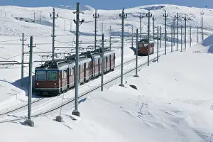 Images Dated 23rd February 2005: SWITZERLAND-Wallis / Valais-ZERMATT: Riffelberg (el)