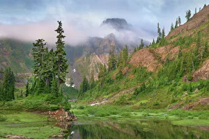 Subalpine Prints: Table Mountain, Heather Meadows