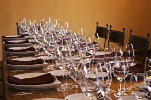 Wine Tasting Prints: table set for lunch with plenty of wine tasting glasses Bodega Del Anelo Winery