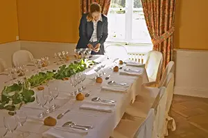 Worker Prints: The table set for lunch and wine tasting for visitors and a watress at a sunny window