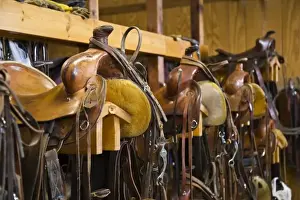 Images Dated 10th February 2008: The tack room showing saddles and cowboy boots on The Hideout Ranch in Shell Wyoming