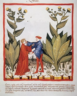 Tacuinum Sanitatis. Medieval Health Handbook, dated before 1400, based on observations