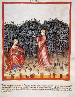 Images Dated 2nd August 2009: Tacuinum Sanitatis. Medieval Health Handbook, dated before 1400, based on observations