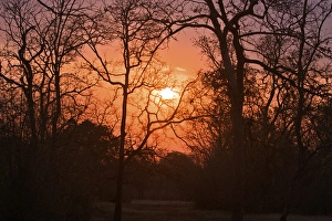 Images Dated 14th April 2012: Tadoba Andheri Tiger Reserve, India